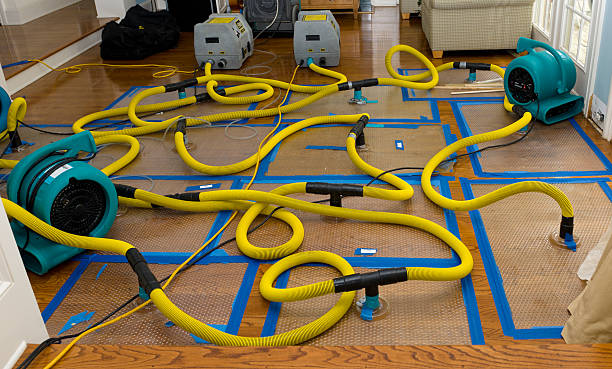 Professional Crawl Space Water Removal technician working in Sorrento, ME